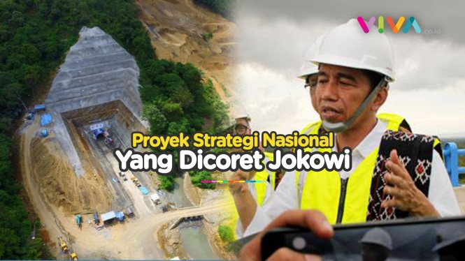 Jokowi Minta Semua PSN Kelar pada Semester I-2024