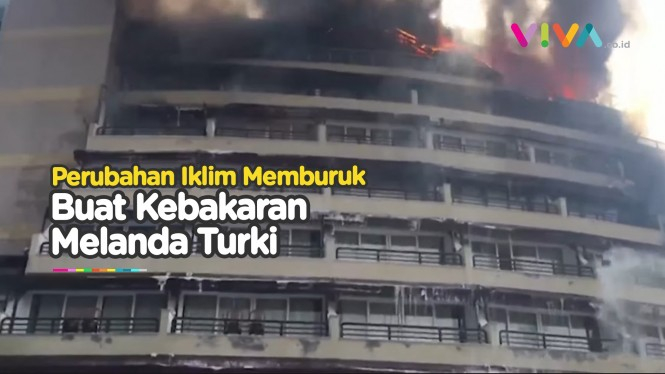 Turki Terancam Dilanda Kebakaran yang Dipicu Gelombang Panas