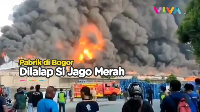 Kebakaran Pabrik di Bogor, Api Membumbung Tinggi