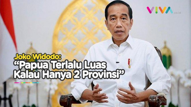 Jokowi Jawab Pro Kontra 3 DOB Papua