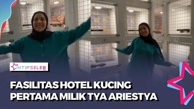 GEMES! Penampakan Hotel Kucing Milik Tya Ariestya
