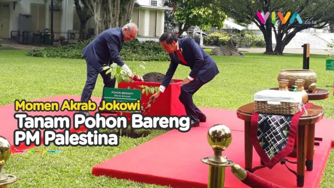Makin Mesra, Jokowi Tanam Pohon Bersama PM Palestina