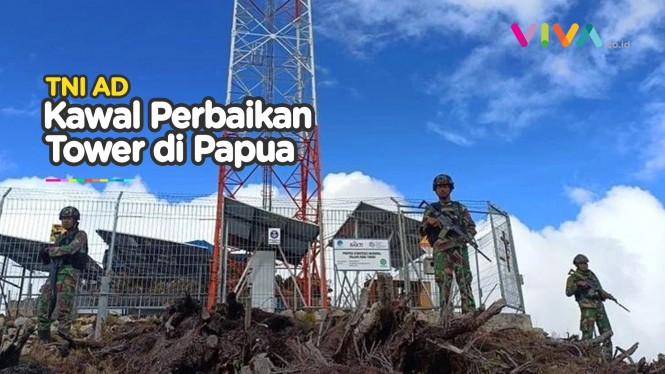 Siaga KKB Papua, Prajurit TNI AD Menyamar di Semak-semak