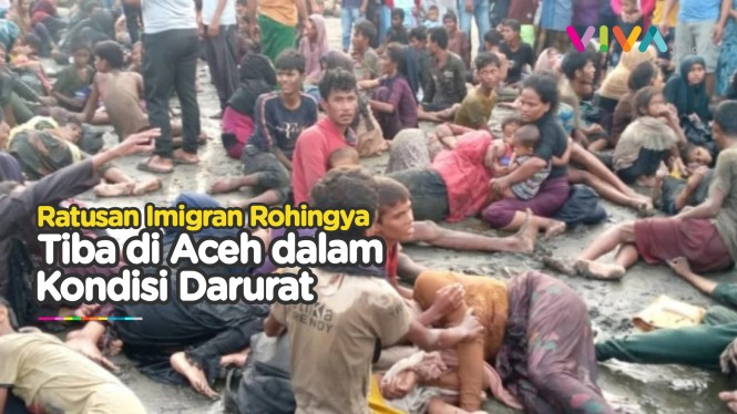 185 Imigran Rohingya Terdampar di Aceh