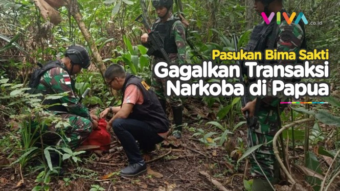 Pasukan TNI Gagalkan Transaksi Narkoba di Perbatasan Papua
