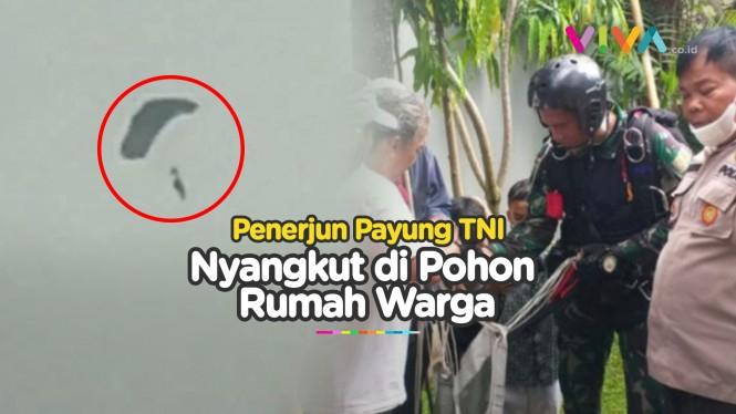 TEROMBANG-AMBING, Penerjun Payung TNI Nyangkut di Pohon