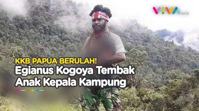 Pentolan KKB Papua Egianus Kogoya Cabut Nyawa Bocah 8 Tahun