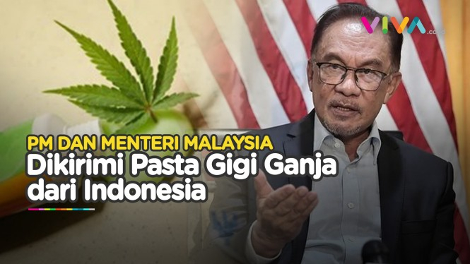 PM-Menko Malaysia Dikirim Pasta Gigi Ganja dari Indonesia