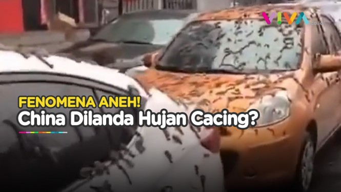 Bukan Hujan Cacing, Fenomena Aneh di China Ini Ternyata...