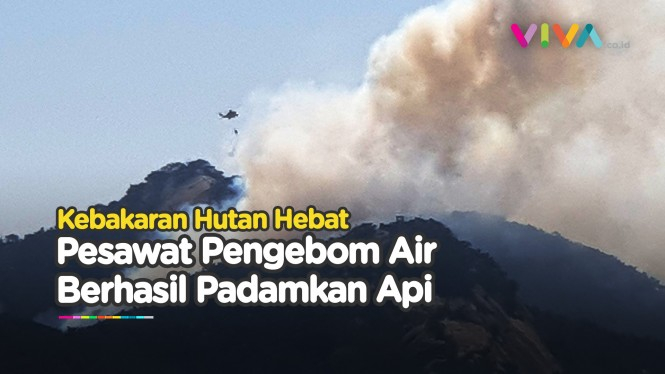 Hutan Tebakar, Pesawat Pengebom Air Gagah Taklukan Api