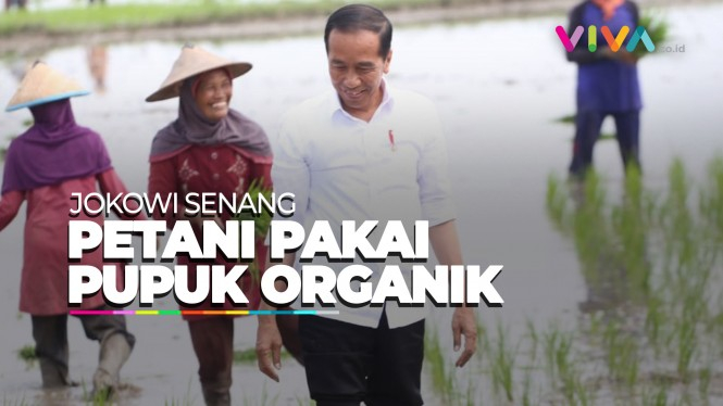 Jokowi Blak-blakan Keuntungan Petani Pakai Pupuk Organik
