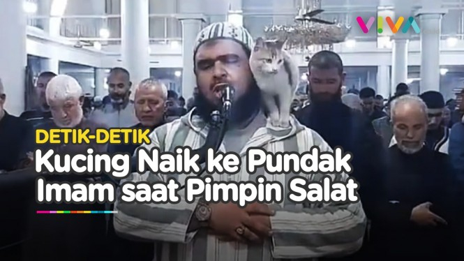Reaksi Imam Tarawih saat Kucing Loncat dan Cium Dirinya