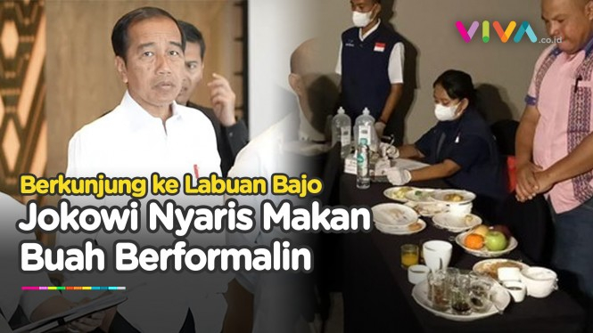WADUH! Jokowi Nyaris Makan Buah Formalin di Labuan Bajo