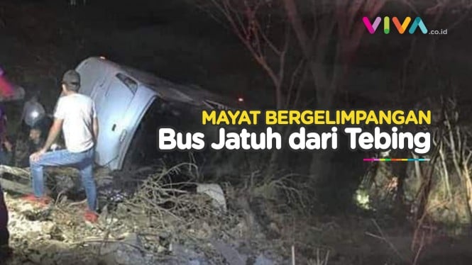Bus Tergelincir Masuk Jurang 15 Meter, Mayat Bergeletakan
