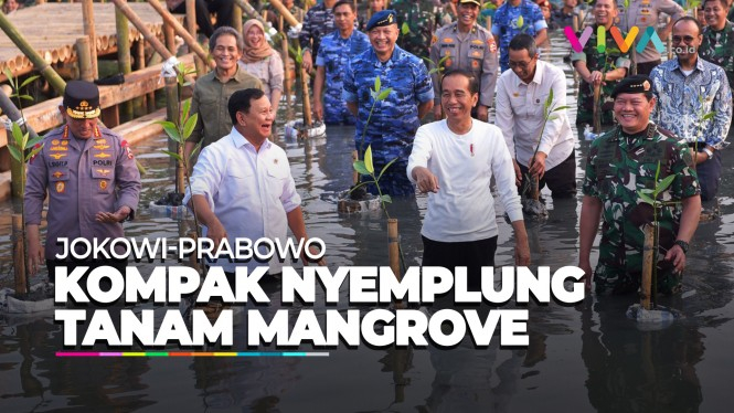 Momen Jokowi dan Prabowo Nyemplung Nanam Mangrove