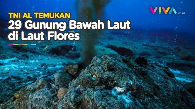 TNI Temukan 29 Gunung di Laut Flores, Ada yang Aktif