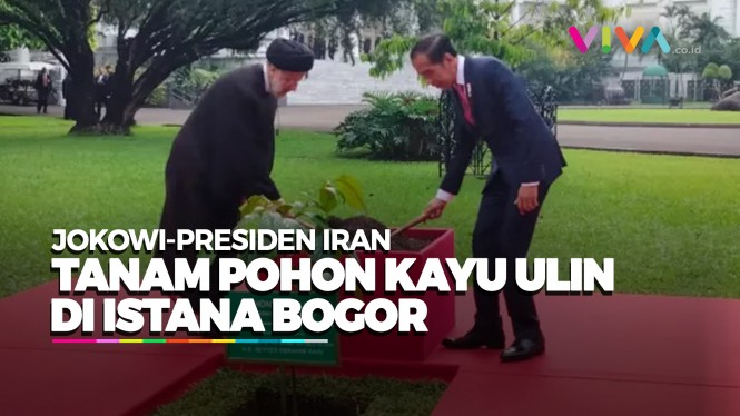 Hangatnya Presiden Iran dan Jokowi Tanam Pohon Bersama