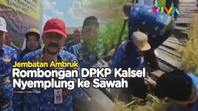 DETIK-DETIK Pejabat DPKP Kalsel Terperosok ke Areal Sawah