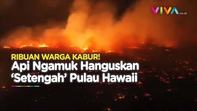 Penampakan Kebakaran Hutan Hawaii 'Bak Neraka'