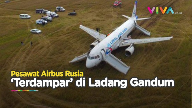 DARURAT! Pesawat Rusia 'Terdampar' di Ladang Gandum