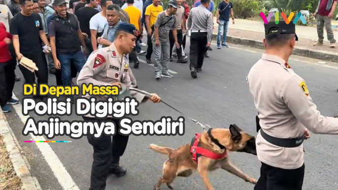 Anjing Salah Target, Serang Komandan Polisi Bak Musuh