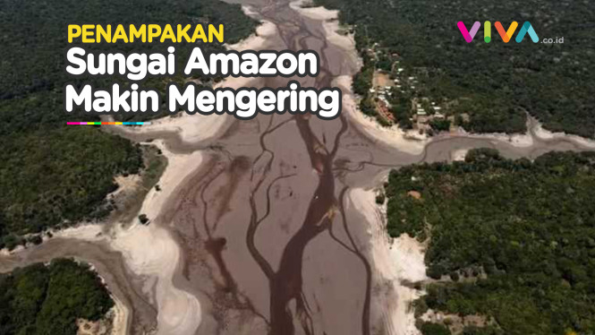 Sungai Amazon Kian Kering, Terparah dalam Lebih dari Seabad