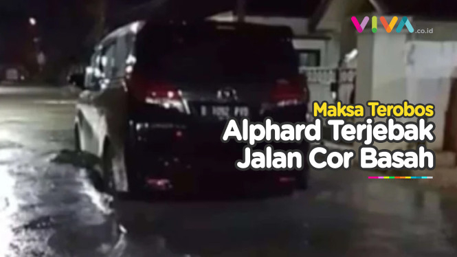 HEBOH! Mobil Alphard Maksa Terabas Jalanan yang Baru Dicor