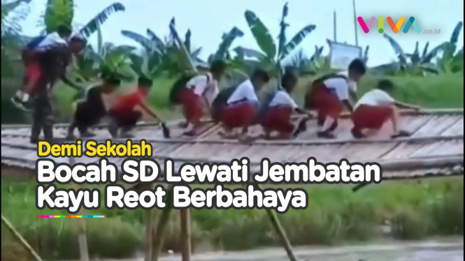 Siswa SD Bak Ninja Lewati Jembatan Reot Demi ke Sekolah