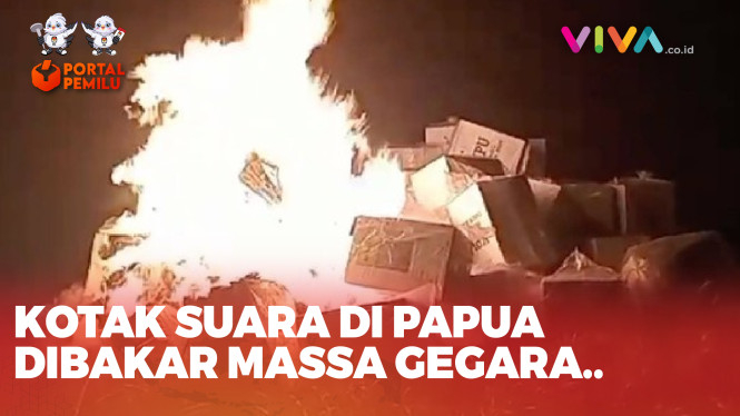 Boikot Pemilu Warga Papua Bakar Kotak Dan Surat Suara Vlix Id