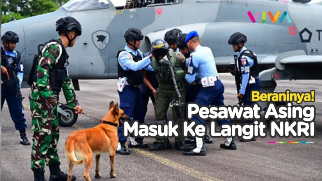 Terobos Langit NKRI, Pesawat Asing Dikejar Jet Tempur TNI