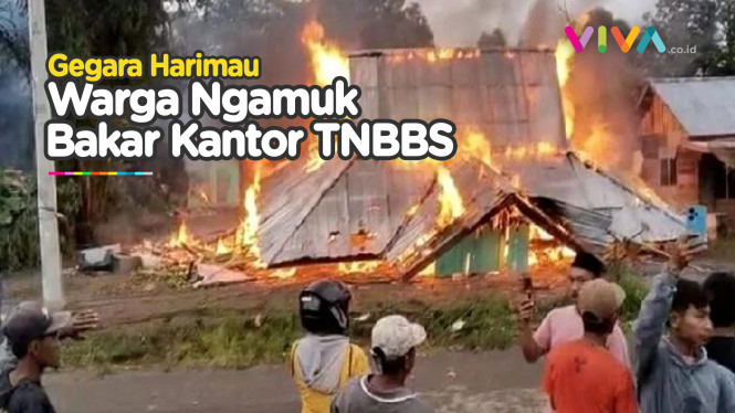 Kantor TNBBS Dibakar, Sniper Dikerahkan Buat Lawan Harimau!