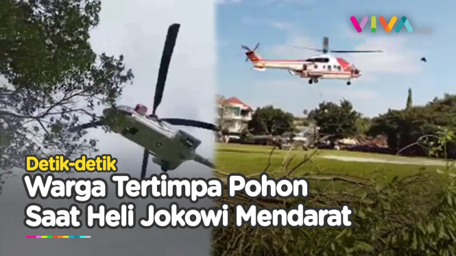 Fakta-fakta Heli Jokowi Bikin Pohon Tumbang, Warga Tertimpa