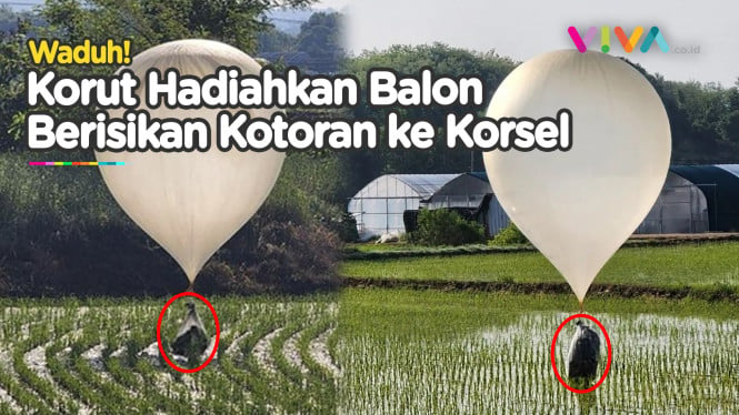 Balas Dendam, Korut Kirim Ratusan Balon "Busuk" ke Korsel