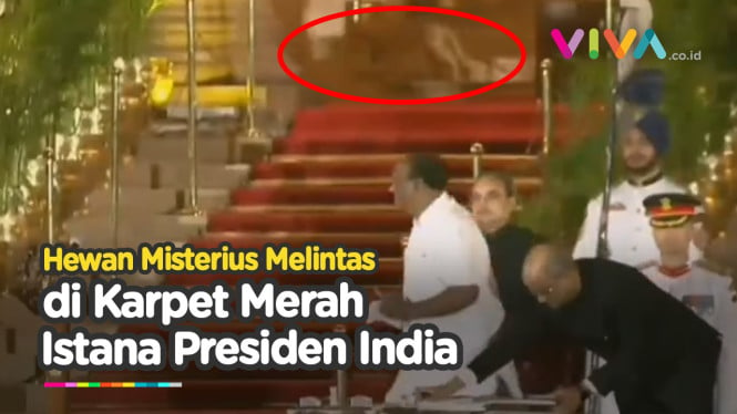 Penampakan Hewan Misterius di Istana Presiden India