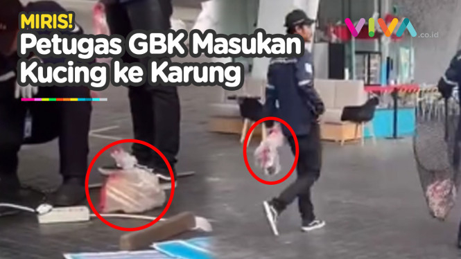 Petugas GBK Terciduk Masukkan Kucing Liar ke Kantong Plastik