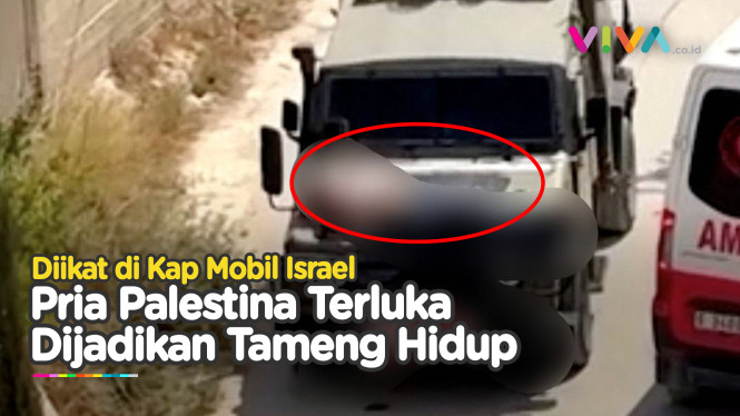 Pria Palestina Diikat di Kap Mobil Jip Militer Israel