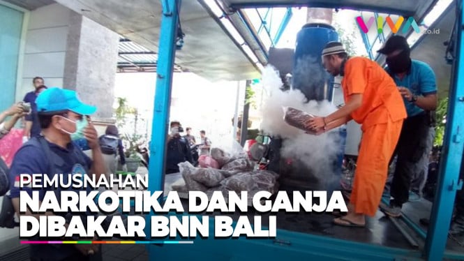 BNN Bali Musnahkan Barang Bukti Narkotika dan Ganja