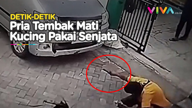 BRUTAL! CCTV Penembakan Kucing Sampai Mati, Ini Motifnya
