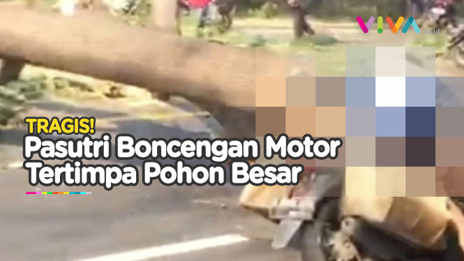 Tiba-Tiba Pohon Raksaksa Tiban Pasutri, Sang Suami Tewas