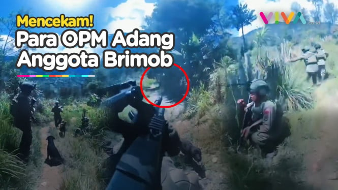 Serang Anggota Brimob Dibalik Semak-semak, OPM Lari Kabur