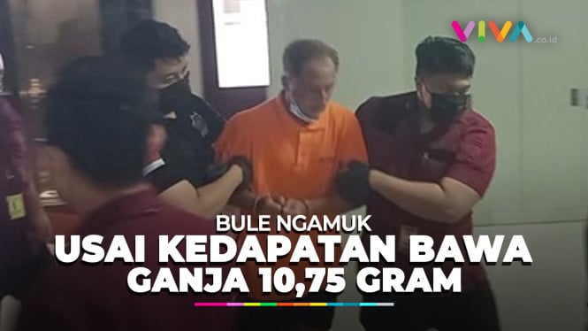 Bule Rusia Kedapatan Memiliki Ganja Seberat 10,75 Gram