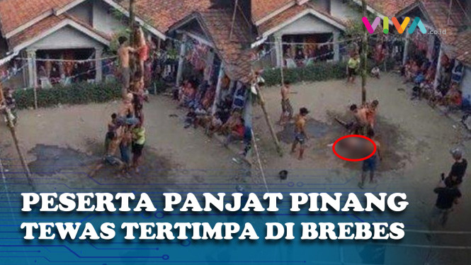 Lomba Panjat Pinang Menjadi Malapetaka, 1 Orang Tewas