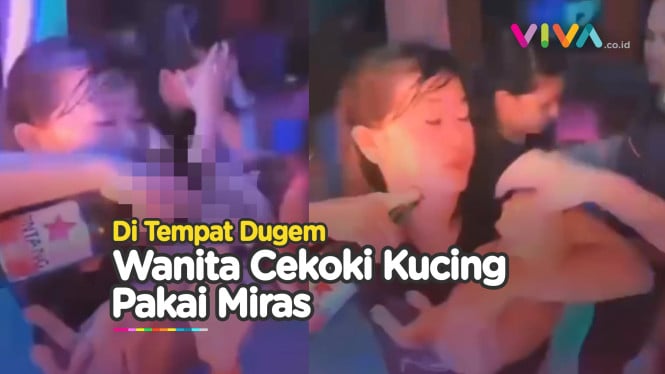 Klarifikasi Wanita Cekoki Miras ke Kucing di Tempat Dugem