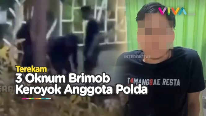 Aksi Brutal Oknum Brimob Keroyok Anggota Polda