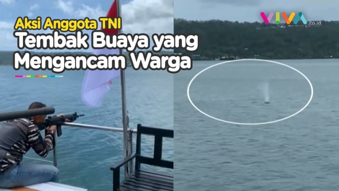 DETIK-DETIK Angota TNI AL Tembak Buaya di Teluk Ambon