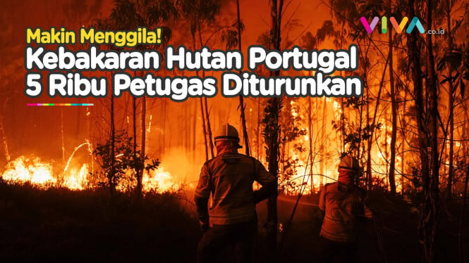 Kebakaran Hutan di Portugal Tewaskan Petugas Damkar