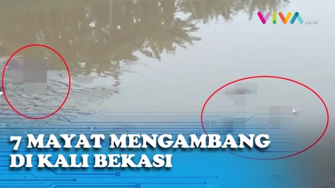 Penampakan 7 Mayat Mengambang di Kali Bekasi, Kok Bisa?