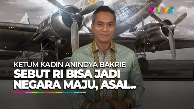 Anindya Bakrie Sebut RI Berpeluang JAdi Negara Maju, Asal..