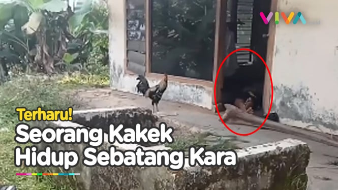 Seorang Kakek Sebatang Kara di Tengah Gegap Gempita Pilkada