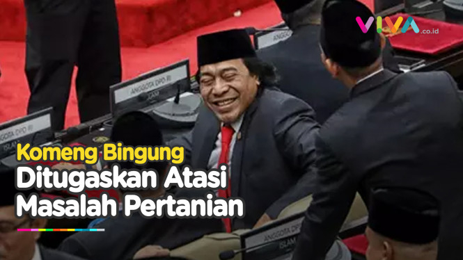 Komeng Linglung, Minta Arahan Pimpinan DPD Justru Ditertawai